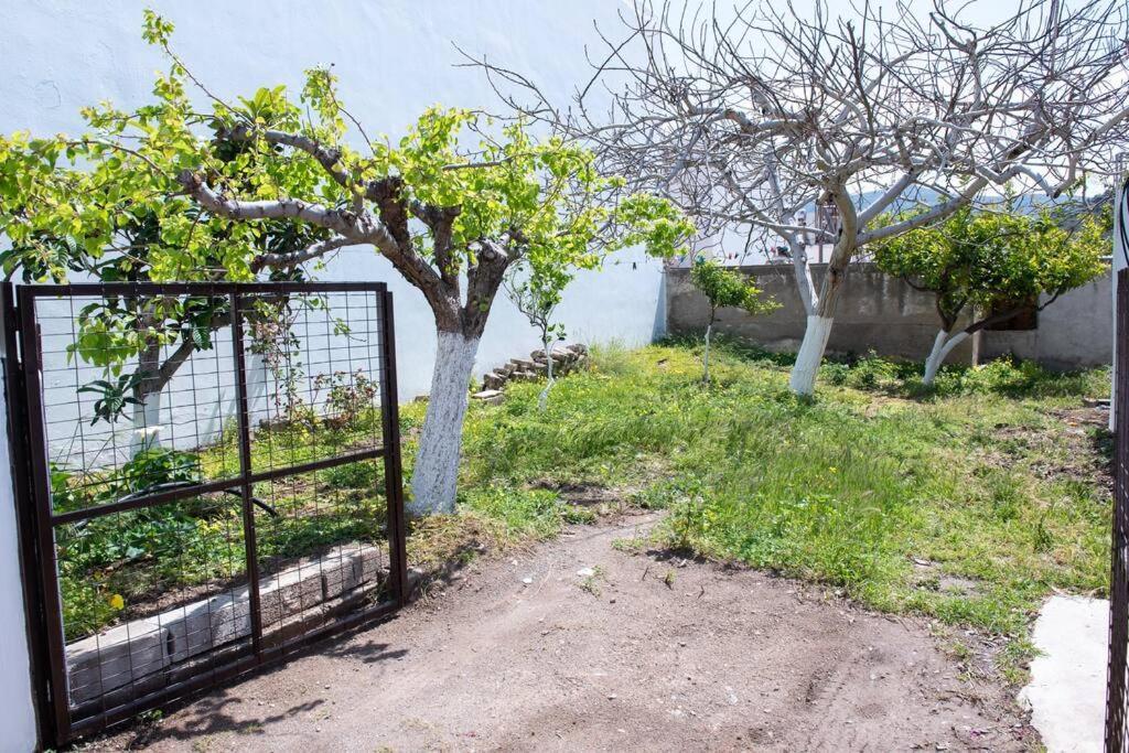 Palaikastro Holiday Apartment Сітія Екстер'єр фото